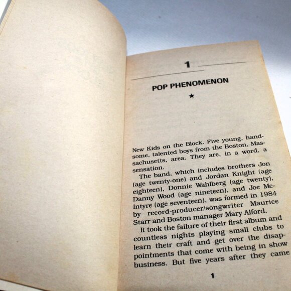 Two New Kids on the Block Fan Collectible Books, 1989 - Picture 8 of 10